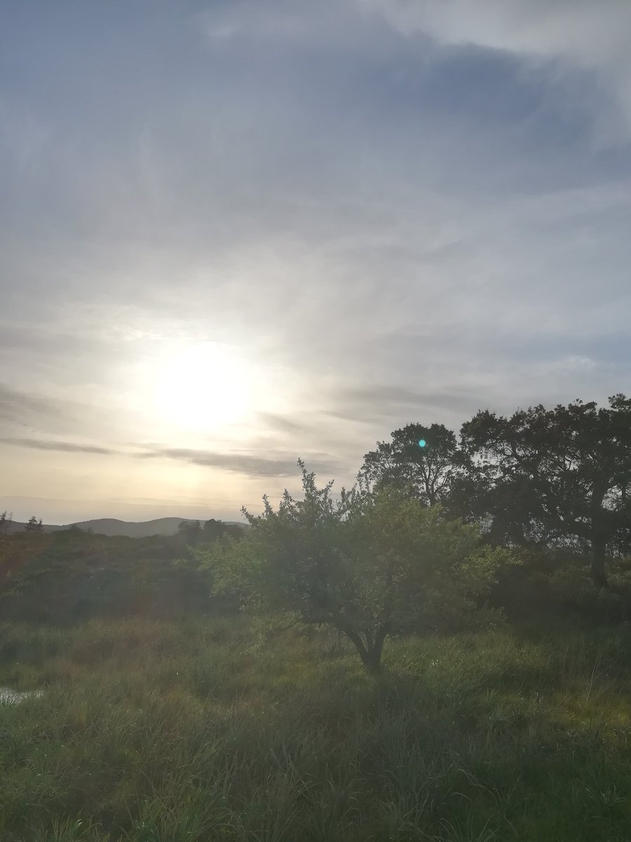 Ricordi quando ti sei unito a Twitter? Io sì! #IlMioAnniversarioDiTwittergrazie mille ha tutti amici di twitter