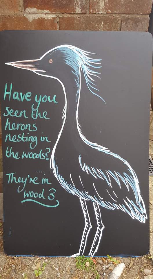 WoodlandCoffee's tweet photo. Get a #HotChocolate & spot a #Heron!
They live in The Heronry in Wood 3, map here: https://t.co/TEIfSQw633
We OPEN in @Ecclesallwoods Tues-Sun / 10am-4pm.
#Lockdown3 / #Takeaway Only / Queue #2MetresApart
@ParksSheffield @WildSheffield @SheffBirders @Natures_Voice #SheffEvents https://t.co/Verv6JuYya