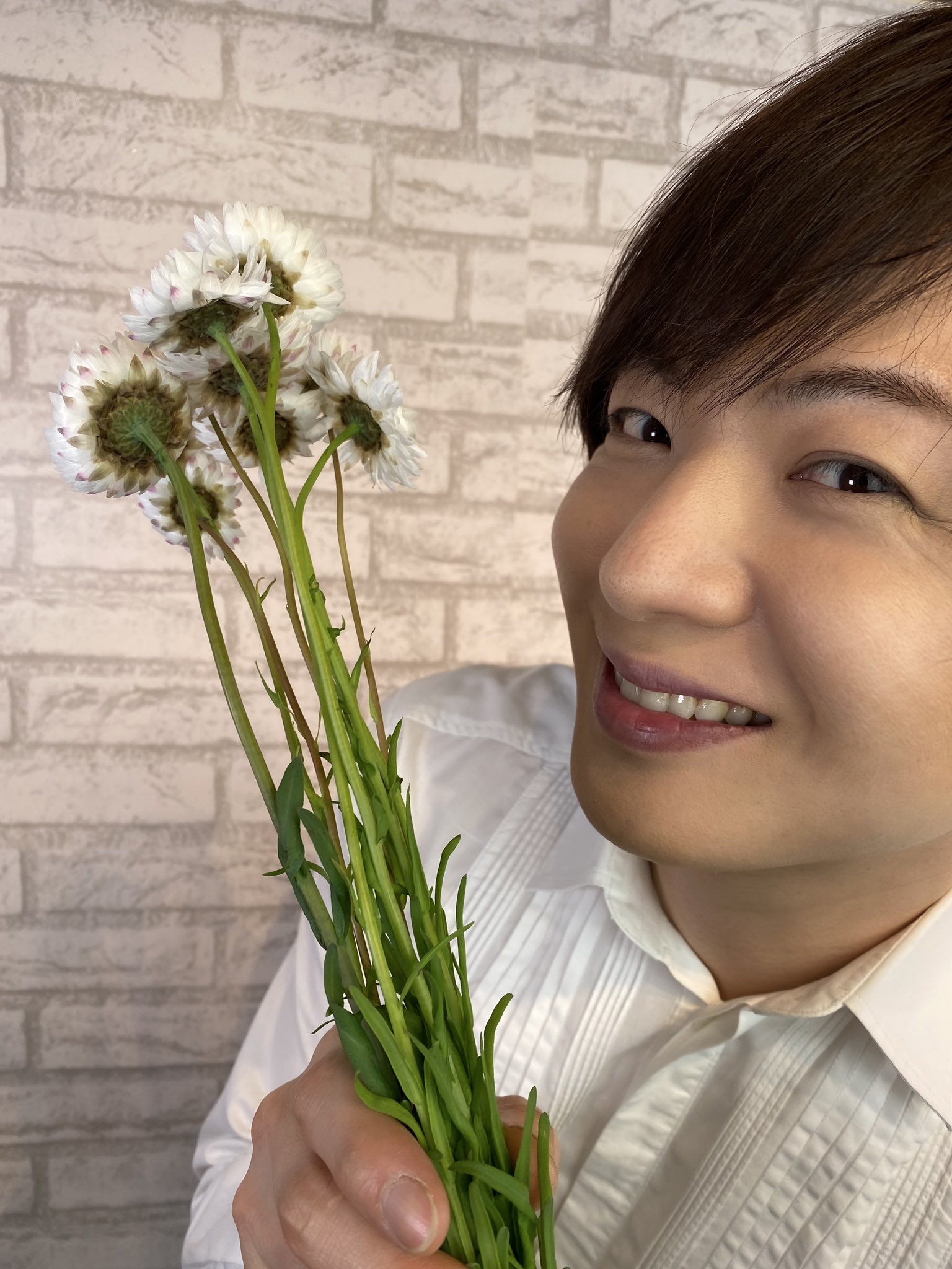竹島宏スタッフ 公式 ローダンセ 白 花言葉は 変わらぬ思い 終わりのない友情 花の裏側の模様もオシャレ なんです ドライフラワー にもオススメです 今日も１日お疲れ様でした ひろネット 花便り 花言葉 花 花を贈ろう
