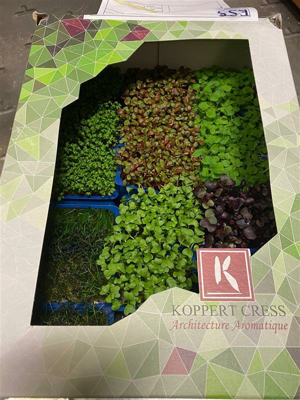 Moira Berryman tweet media