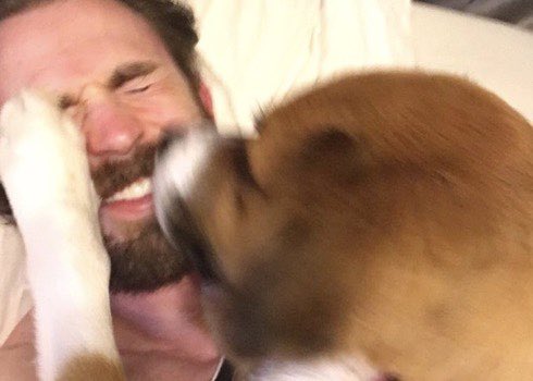chris evans but as u scroll his smile gets bigger