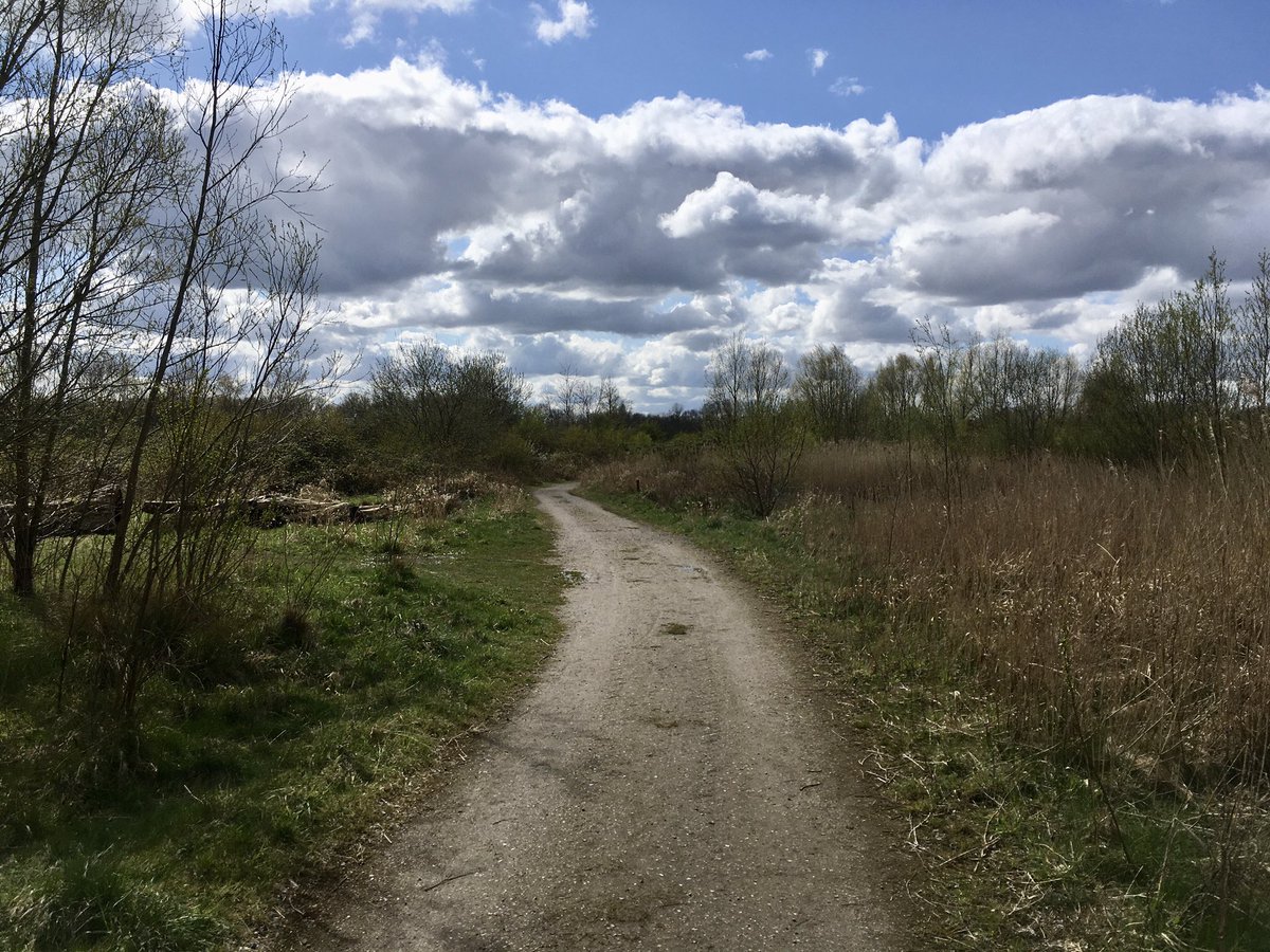 Gerhardhormann's tweet photo. Vandaag wéér een stuk gewandeld in een onbekend stuk bos vlak in de buurt. #hoogenesse https://t.co/yv77VCEAyL