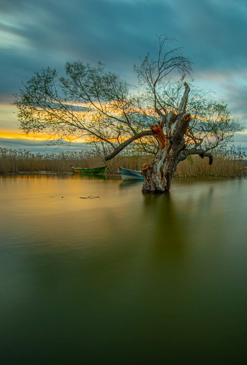 instagram.com/p/CNfVT9bgU9C/…