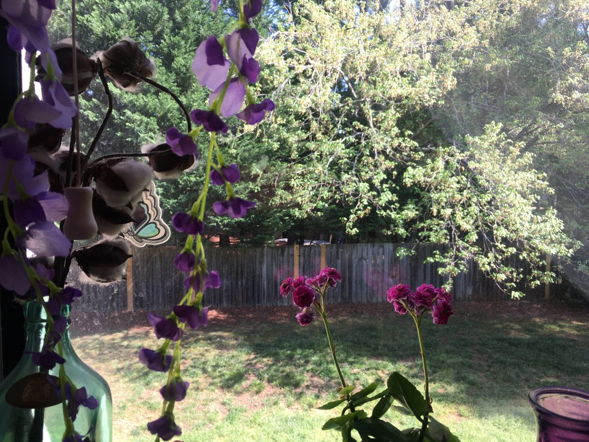 BobbiStorm's tweet photo. #grren is the #color again in the #carolinas https://t.co/Q0VerVcP78