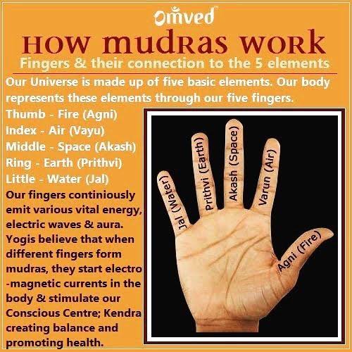 The 5 fingers represent : Thumb:fire, Forefinger:wind, Middle finger: space, Ring finger:earth, & Little finger: water.The fingers essentially act as electrical circuits & the use of mudras adjust the flow of energy which balance these various elements & accommodate healing.