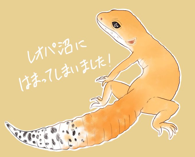 ヒョウモントカゲモドキのtwitterイラスト検索結果 古い順