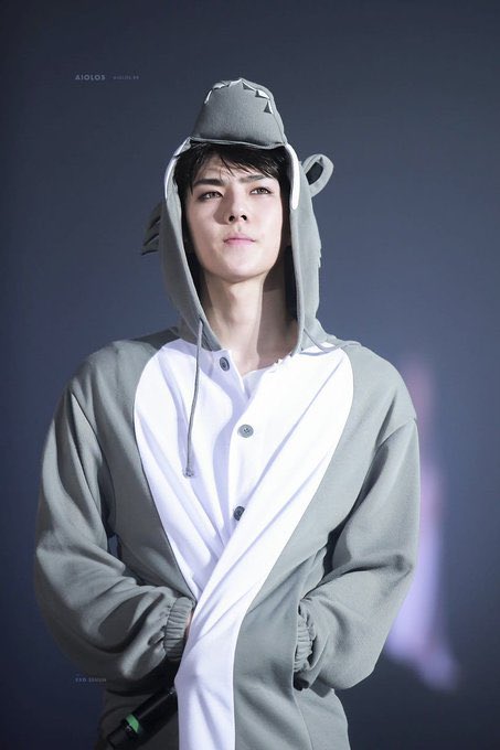 tobyqxx's tweet photo. tuan muda Oh Sehun sekaligus anak piyak🐥 happy birthday oh sehun  #28thSpringWithSEHUN https://t.co/keWX3DBhWn