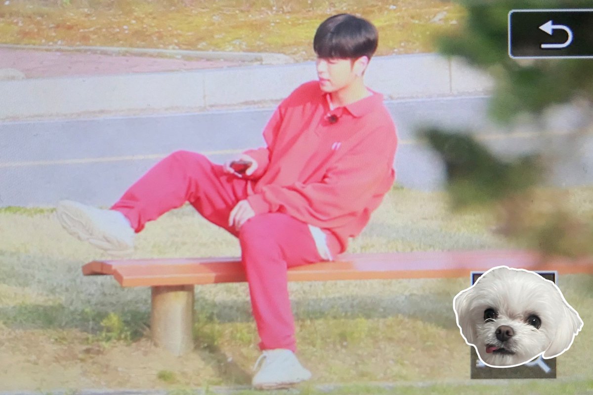 HONEYHUSKY0331's tweet photo. 210411 킹덤 체육대회

🌞🌞😴

@tkwpcnfak
#JUNHOE #구준회 #iKON #아이콘 https://t.co/DDKzoUxopY