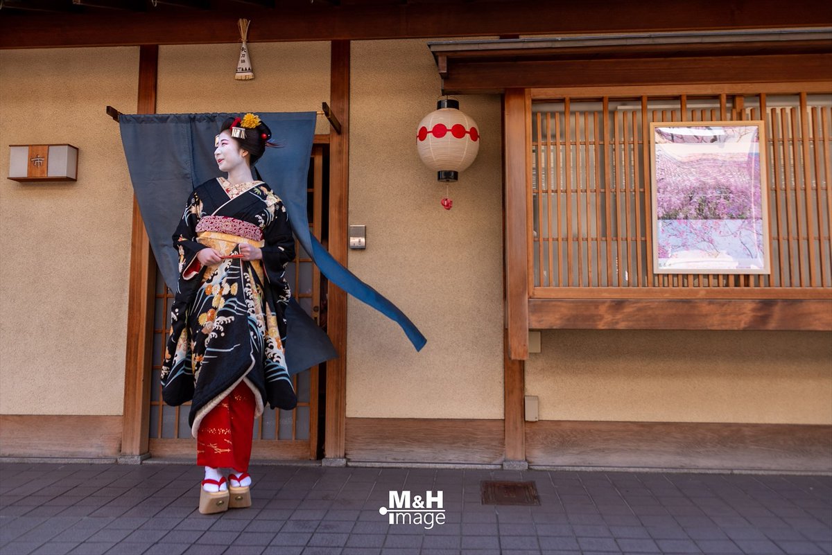 9520342's tweet photo. 上七軒で久々の舞妓の見世出しがありました(^^)
#見世出し
#市すず
#舞妓
#上七軒 https://t.co/aCYGqni17d