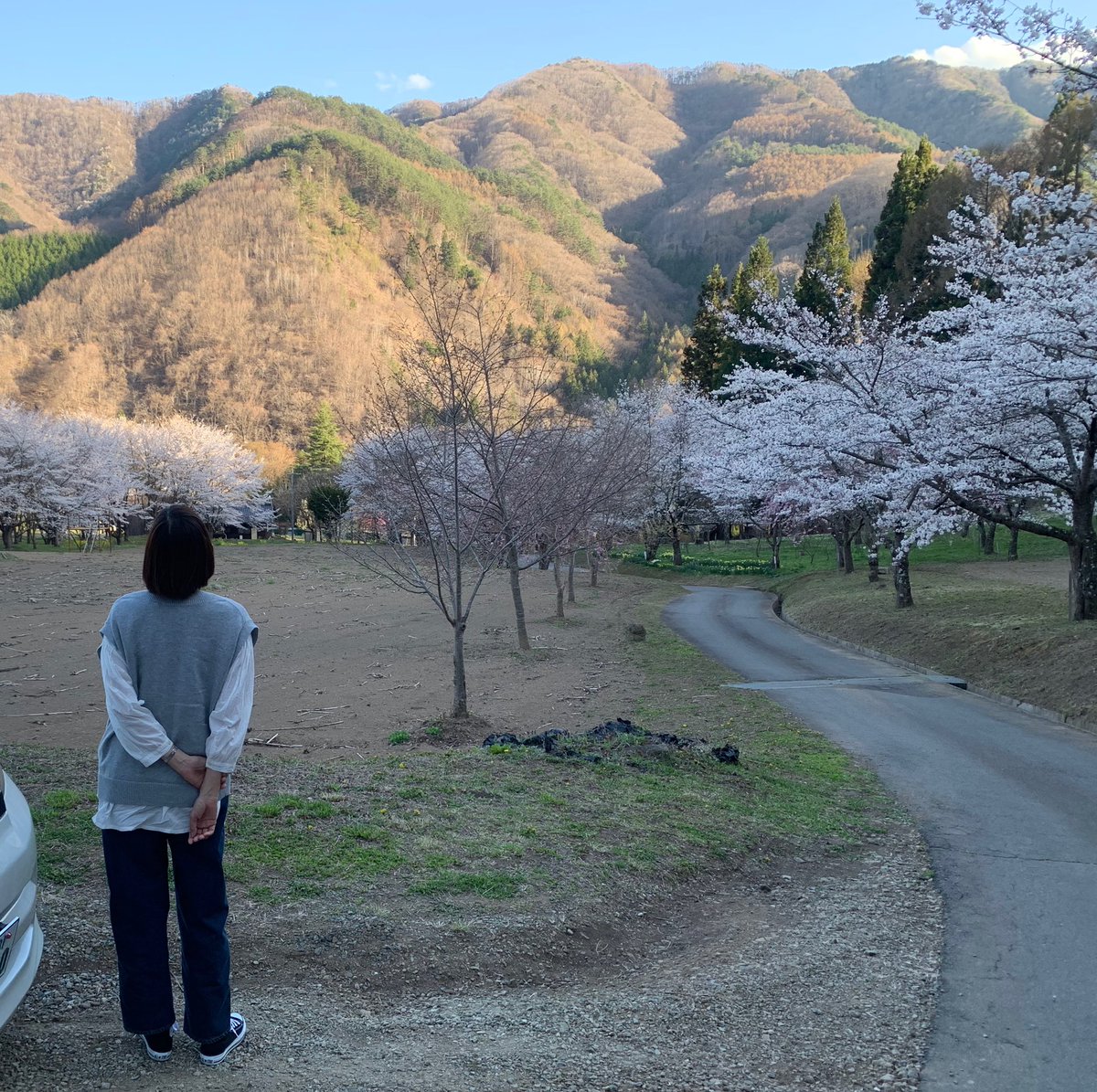 MARUHIDE406's tweet photo. ヤボ用の帰りに花見🌸
#デート？
#千本桜
#丸子独鈷山入り口
＃誰もいない https://t.co/2Wvidi83Y0