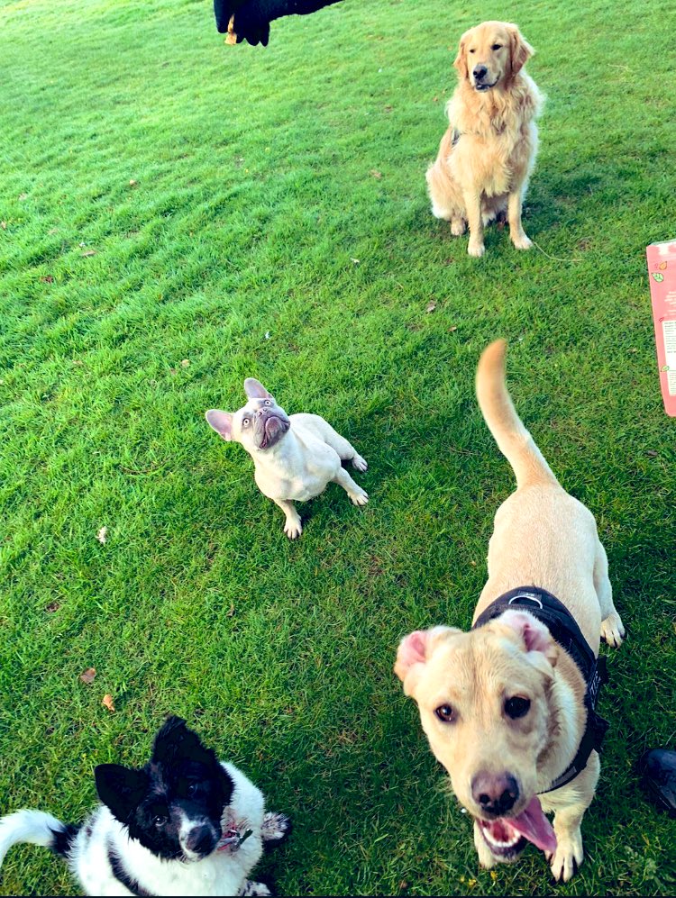 ⚽️ Olly Clifford ⚽️ tweet media