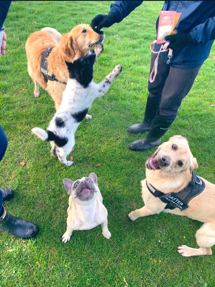 ⚽️ Olly Clifford ⚽️ tweet media