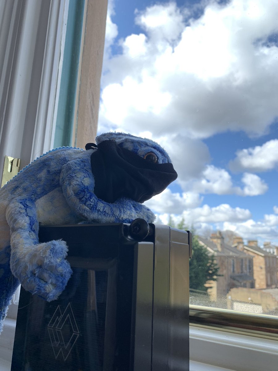 Replicade tweet media