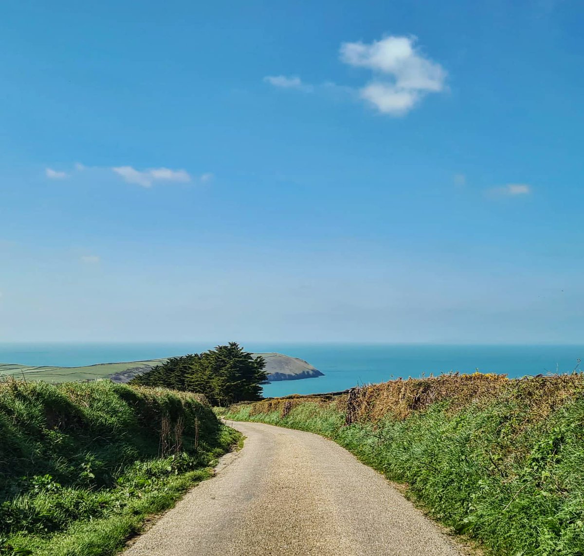 WildseaFruit's tweet photo. Summer doesn't seem too far down the road now!
#wildseanorthdevon #wildseafruit #wildseadrinks #devon #northdevon #spring #summer #coast #coastroad #coastalviews #viewsfordays #woolacombe #putsborough #croyde #georgeham #baggypoint #pickwell #bluesky #swcoastpath #westcountry https://t.co/VN1TWX6qYw