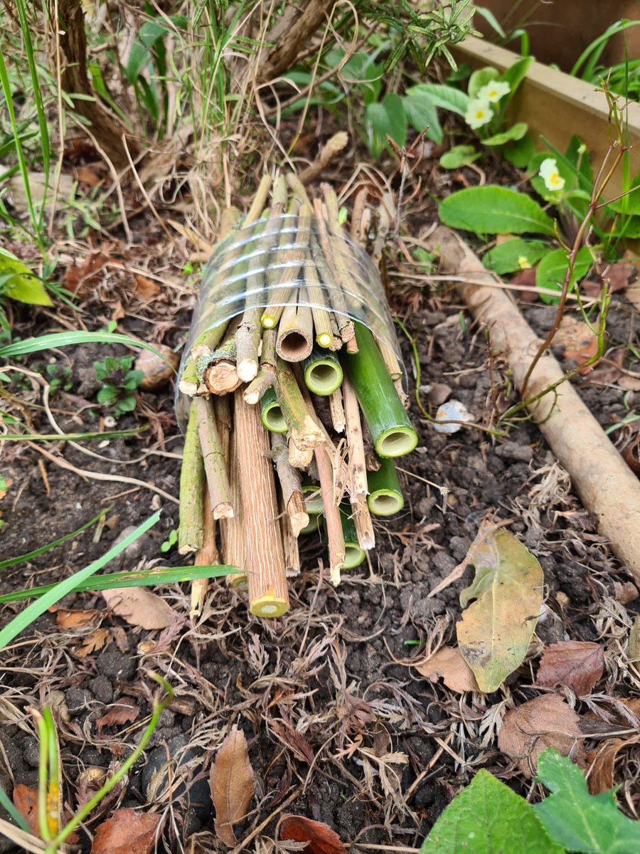 14th Wallington Cubs tweet media