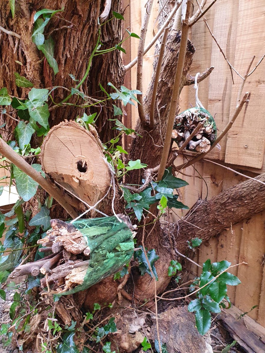 14th Wallington Cubs tweet media