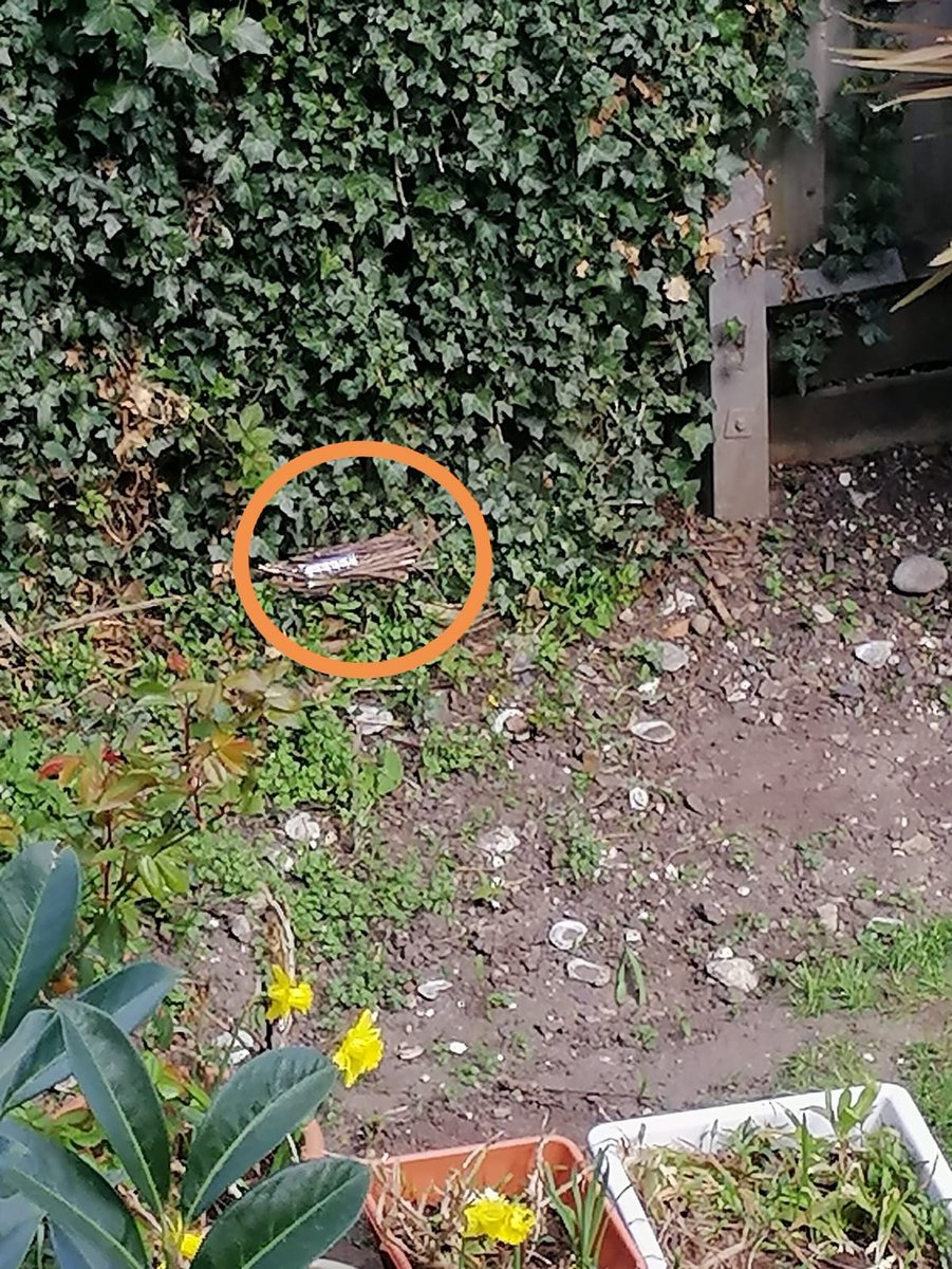 14th Wallington Cubs tweet media