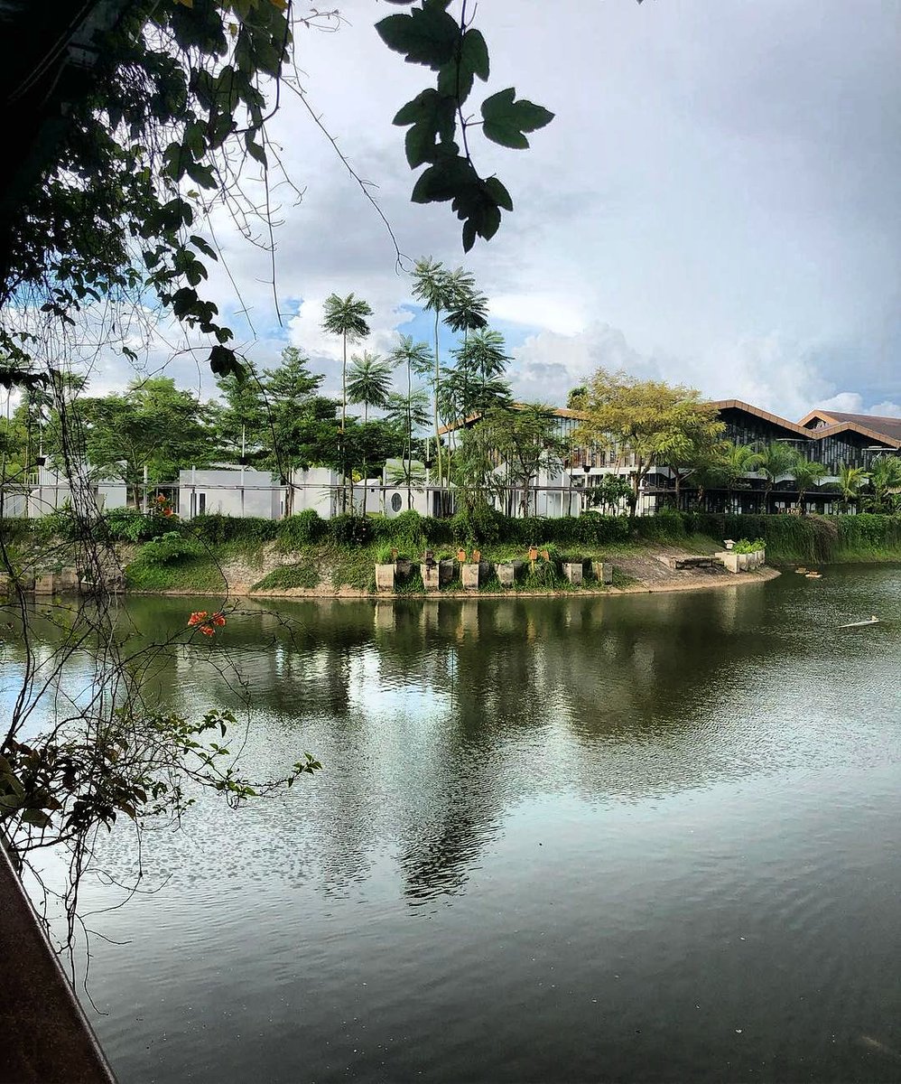 Far sight for forward looking 🌴