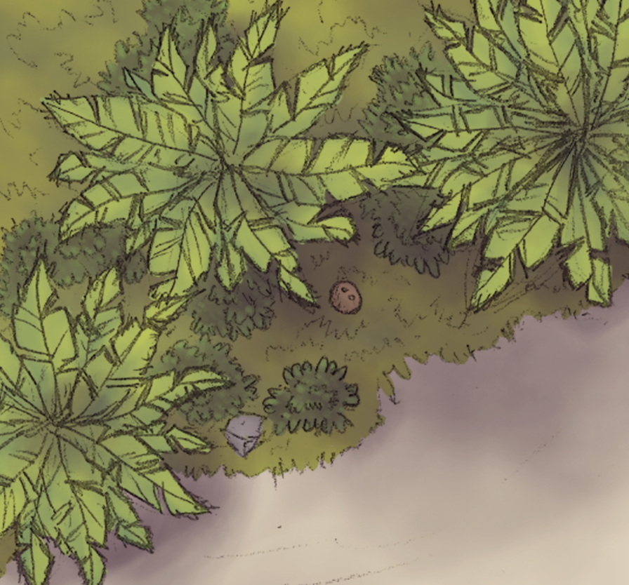 Hey!

An older battlemap of mine, but still beautiful: "Island Wreck"

You can download it here:
patreon.com/posts/island-w…

If you like the map and want to support me, pls consider becoming a patron! 💙💙💙

#dnd #ttrpg