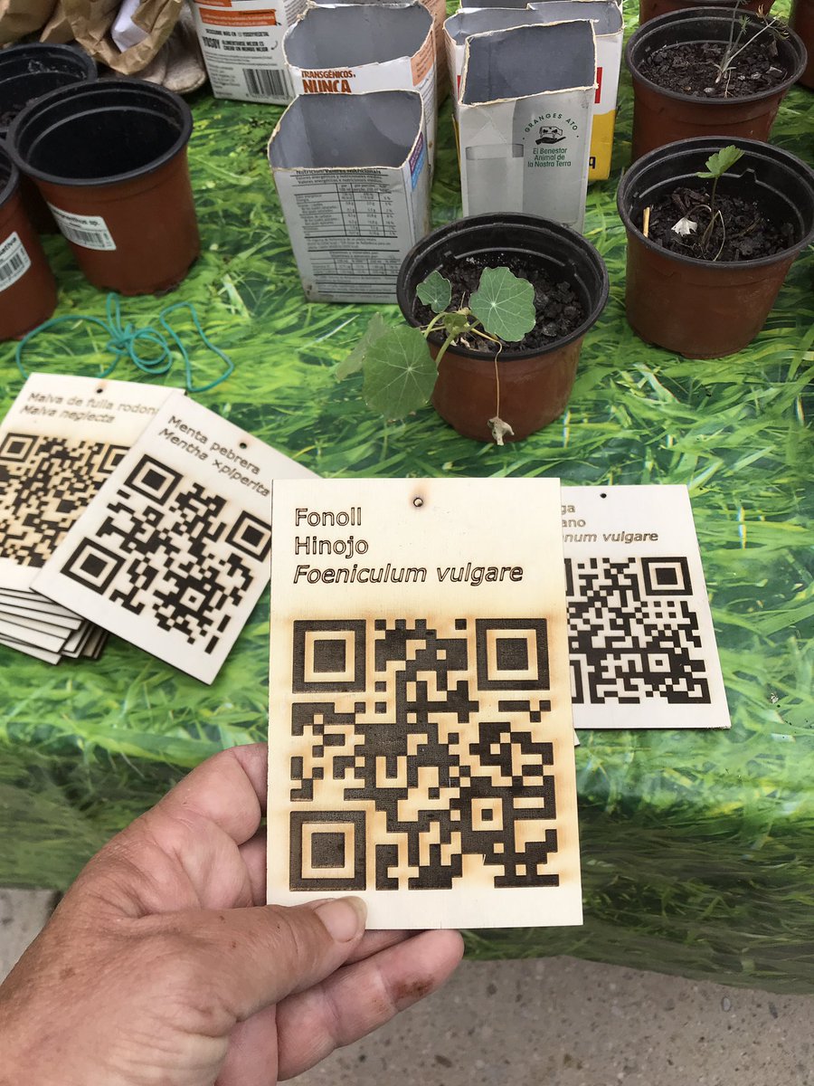 eskocells's tweet photo. Avui hem visitat l’hort comunitari de la Barceloneta a Ginebra, 63. És preciós! També han plantat un #eskocell. Estem enamorats de les etiquetes de plantes que han fet! @LaSardineta https://t.co/1ETBCSDClJ