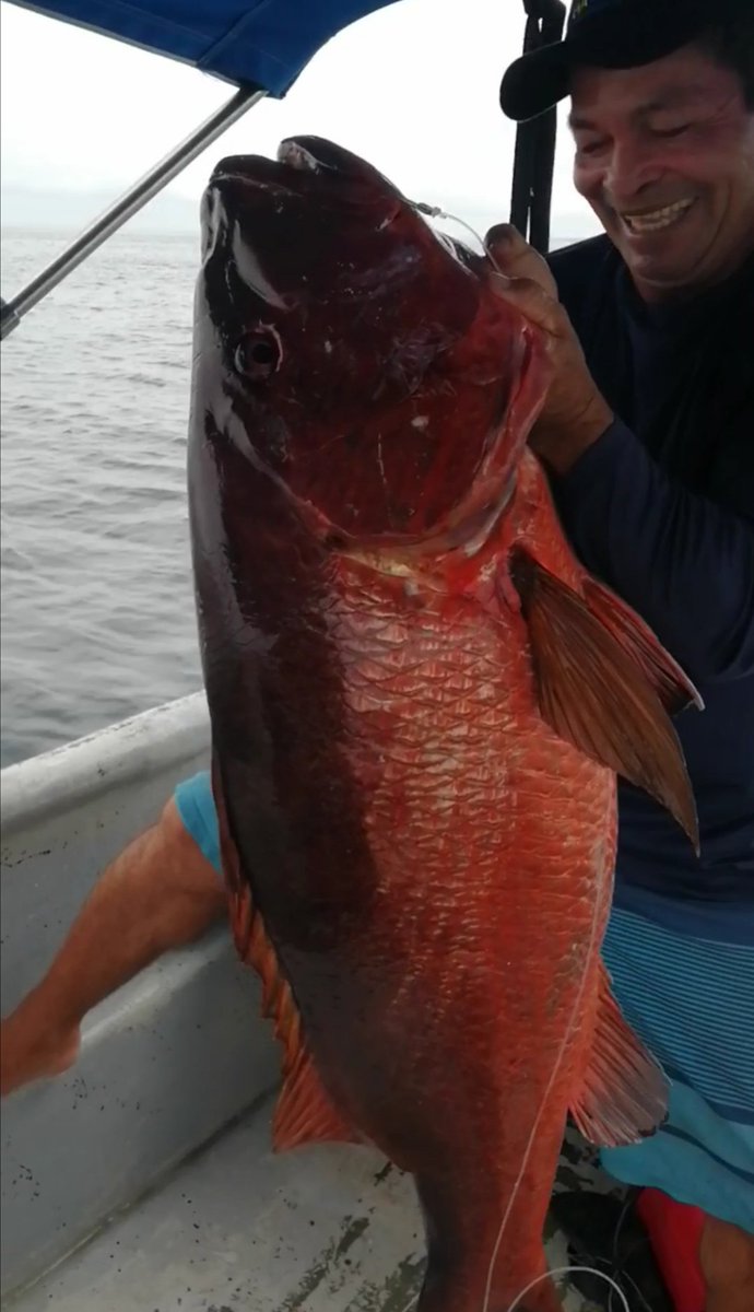 Pedasi Trips Panama (@pedasibeachtrip) on Twitter photo 