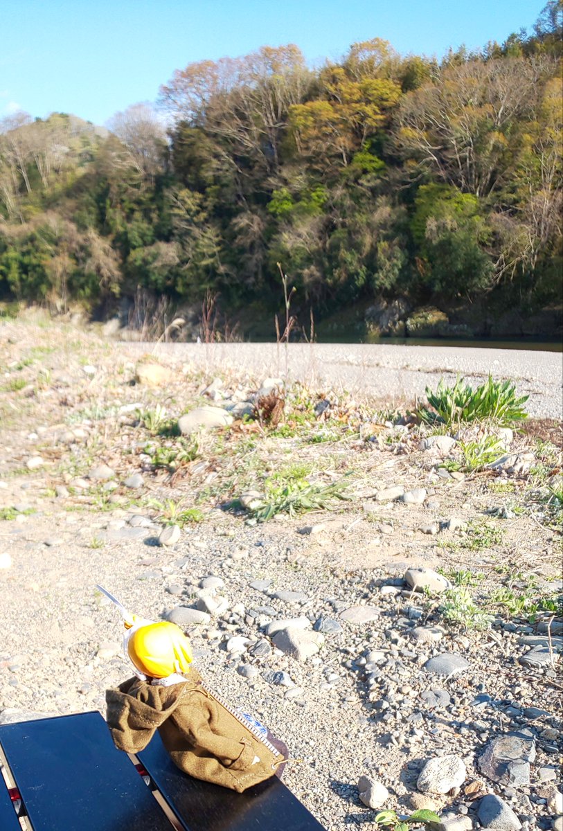 チュンチュン 今回もよいキャンプでした 初めてうちの子連れてったけど サイト間にある程度距離があるから他人の目を気にせず野外で写真撮れるのはいいね コロナおさまったらアサルトリリィの キャンプオフ会とかやりたい アサルトリリィドール部