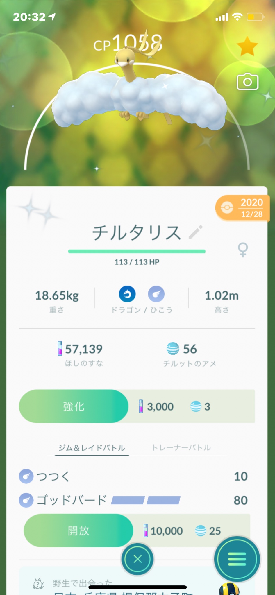 Twitter 上的 ママカビゴン ようやく 色違いチルットを進化させる事が出来た ポケモンgo チルット 色違いチルット チルタリス 色違いチルタリス 色違い T Co Mpvijjlqqb Twitter