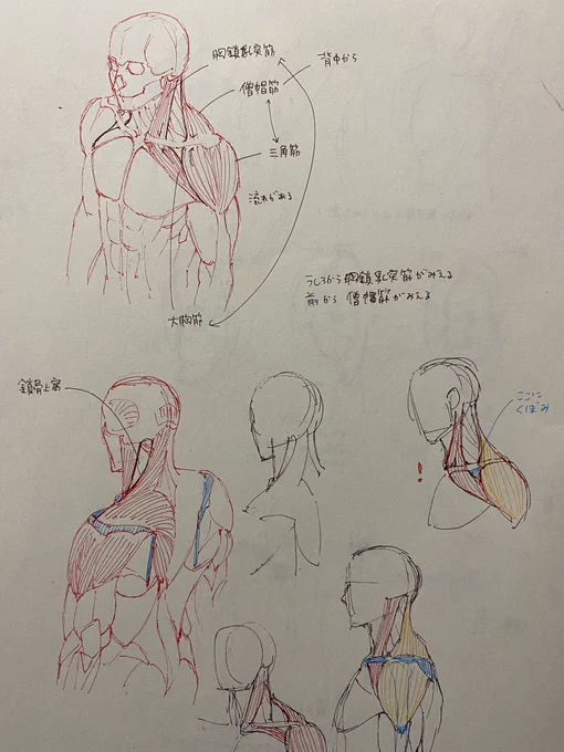 模写ヘタクソであれなんだけどこういう実はこうなってるみたいのがわかる!! 