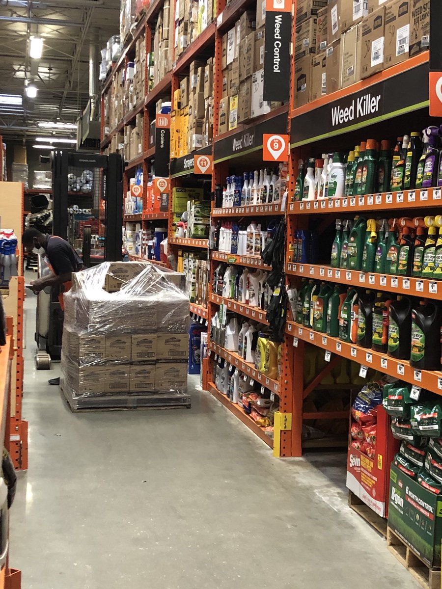 Shaina M-Collins tweet media