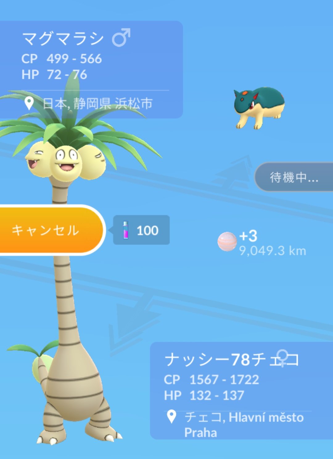 かっちゃん ８ ６ ８gofest札幌 昨日ポケモンｇｏでゲットしたキラポケモンその２ キラマグマラシ ４匹目 ３週間 前にゲットした マグマラシ と ２日前 ３日前 にゲットした アローラナッシー と交換してゲットしました キラマグマラシ