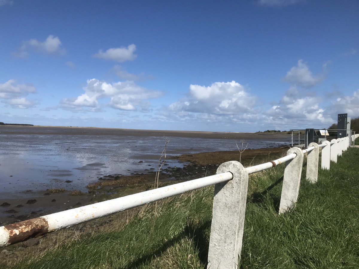 lindisfarne_nnr's tweet photo. A good day for our NNR-wide WeBS count (although could do without the cold northerly wind at #Budle Bay).  Highlights are good count of 1450 Pinks roosting on a raised sand bar in the middle of bay. ⁦@NE_Northumbria⁩ https://t.co/qE1RLNkbbM
