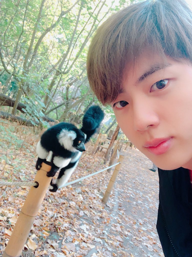 Seokjin's love for animals and pets, a heartwarming thread