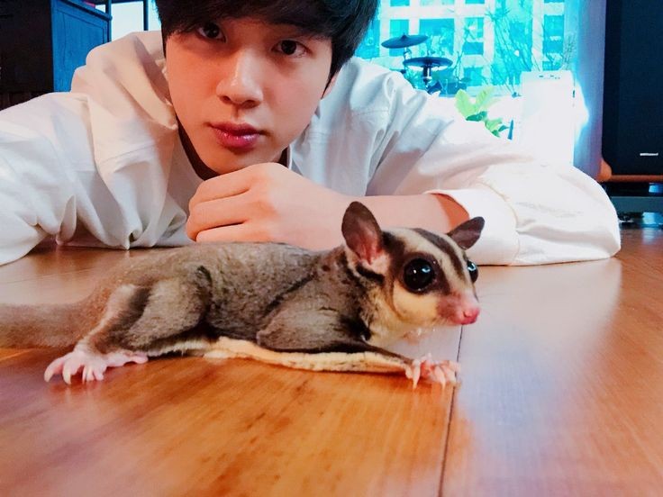 Seokjin and his pet Odeng