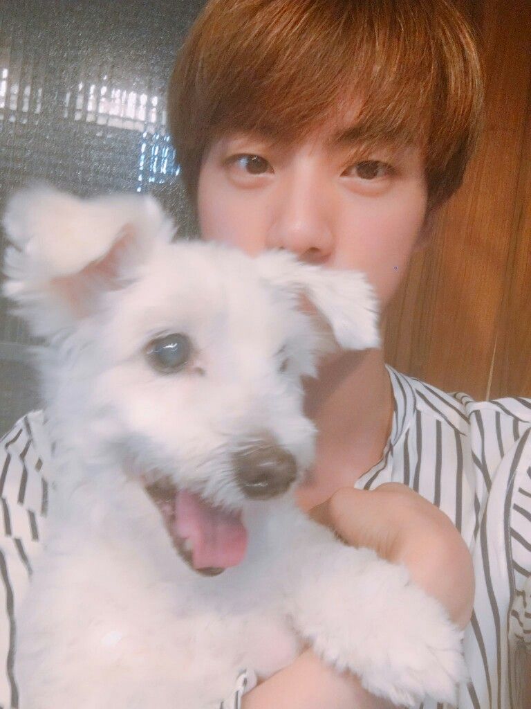 Seokjin with Jjangu