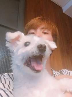 Seokjin with Jjangu