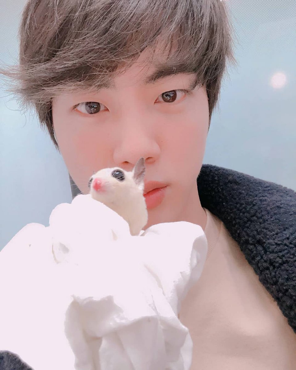 Seokjin with Gukmul