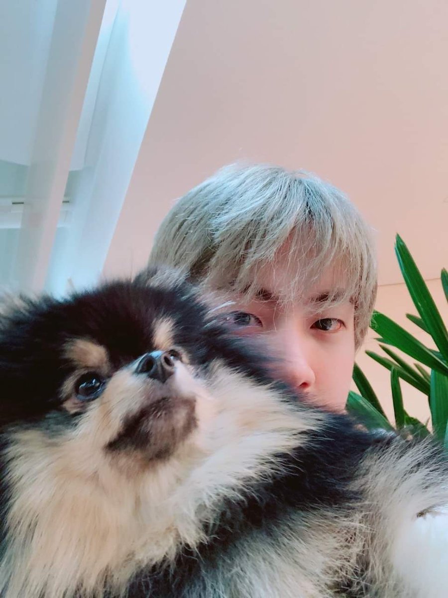 Seokjin with yeontan