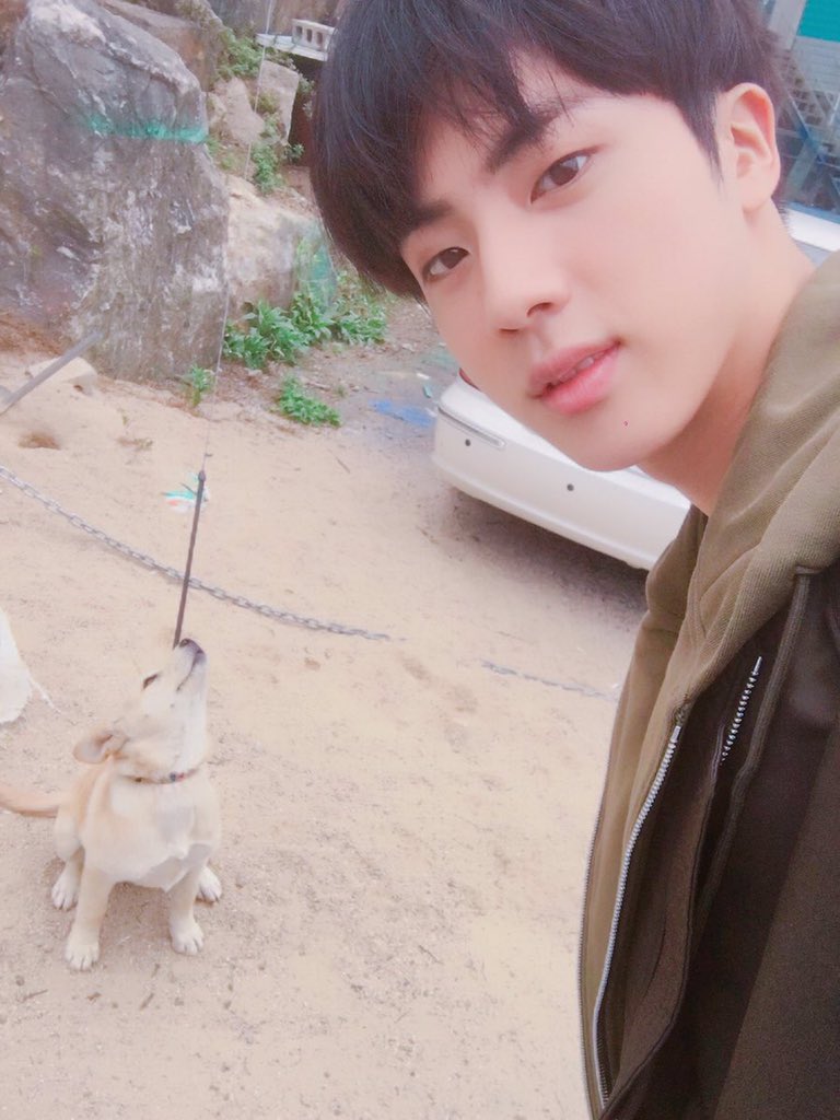 Seokjin with animals is the cutest