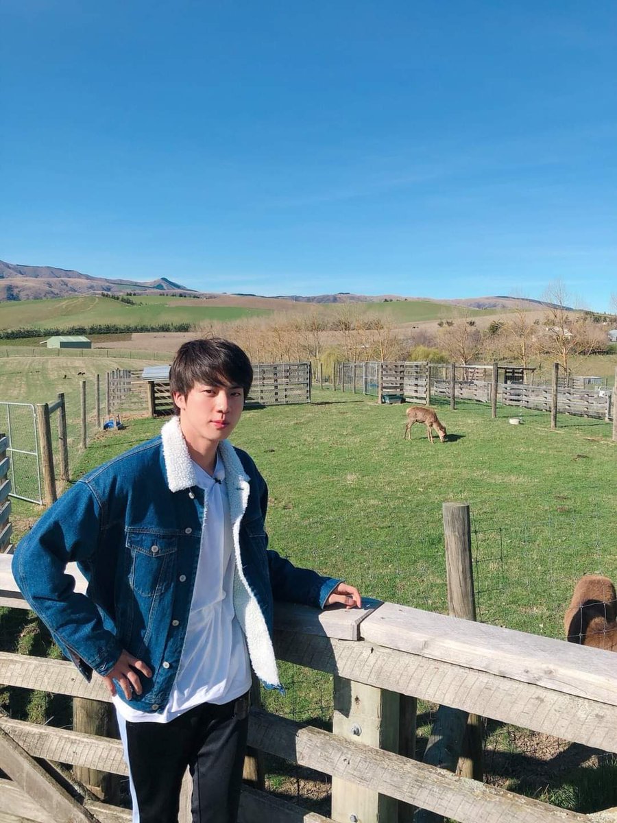 Seokjin with animals is the cutest