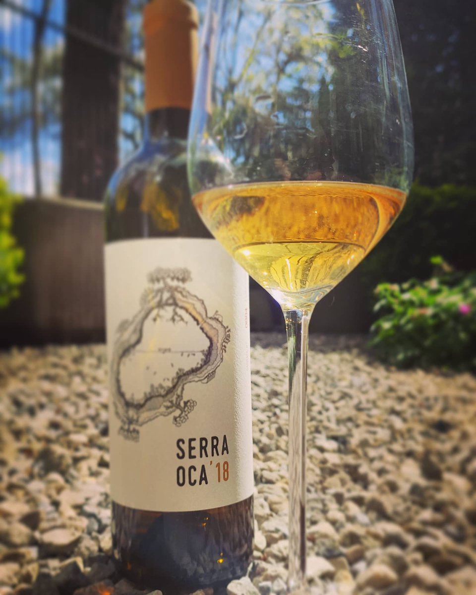 Bijzonder dit: een (semi-) oranje wijn uit... Portugal. Semi, want enkel de moscatel die deel uitmaakt van deze blend (samen met arinto en fernao pires) heeft uitgebreid schilcontact gehad. Verkrijgbaar bij @entrepotduvin2880 #wijn #orangewine #portugal #wittewijn #gastronomie