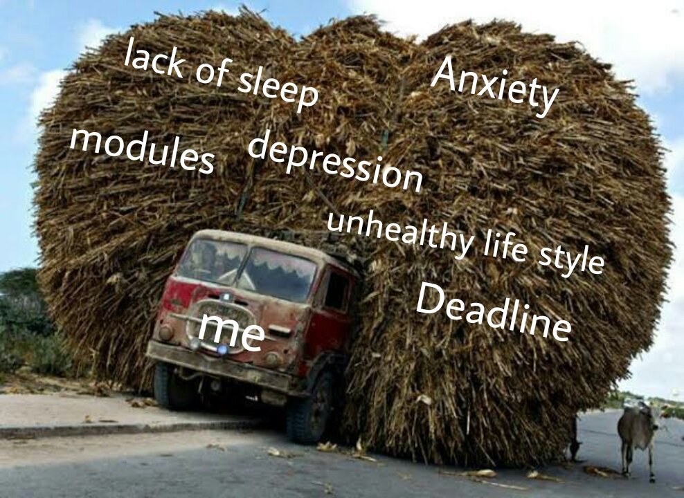 Gel (@stfugeel) on Twitter photo 