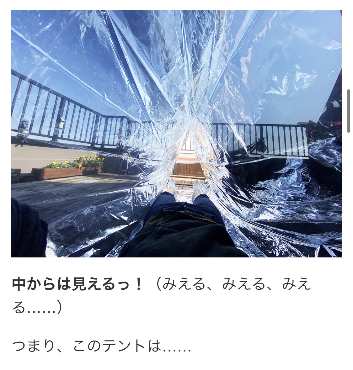 ダイソーにマジックミラー号が売ってるらしい 中から外が見える緊急シェルターとよからぬことを考える人たち Togetter