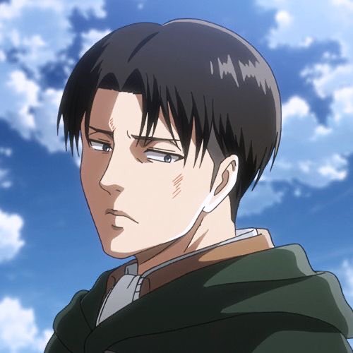 Levi hairstyle