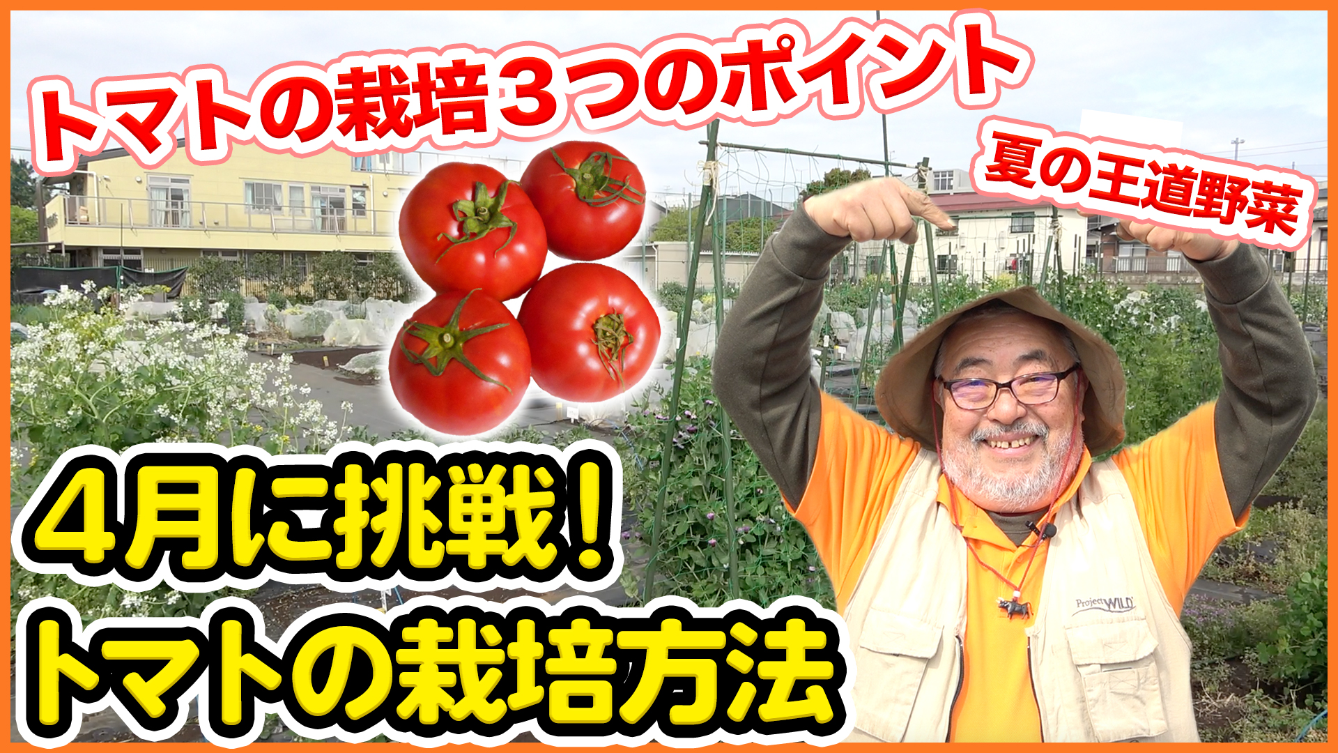 シェア畑 サポート付き貸し農園 今回は 初心者にでも簡単な夏野菜の王道品目のトマトの栽培について解説します ミニトマト 中玉トマト 大玉トマトともに共通です 苗を植えた後の仮支柱の立て方も解説します T Co Fbwtflkvxi 農園 家庭