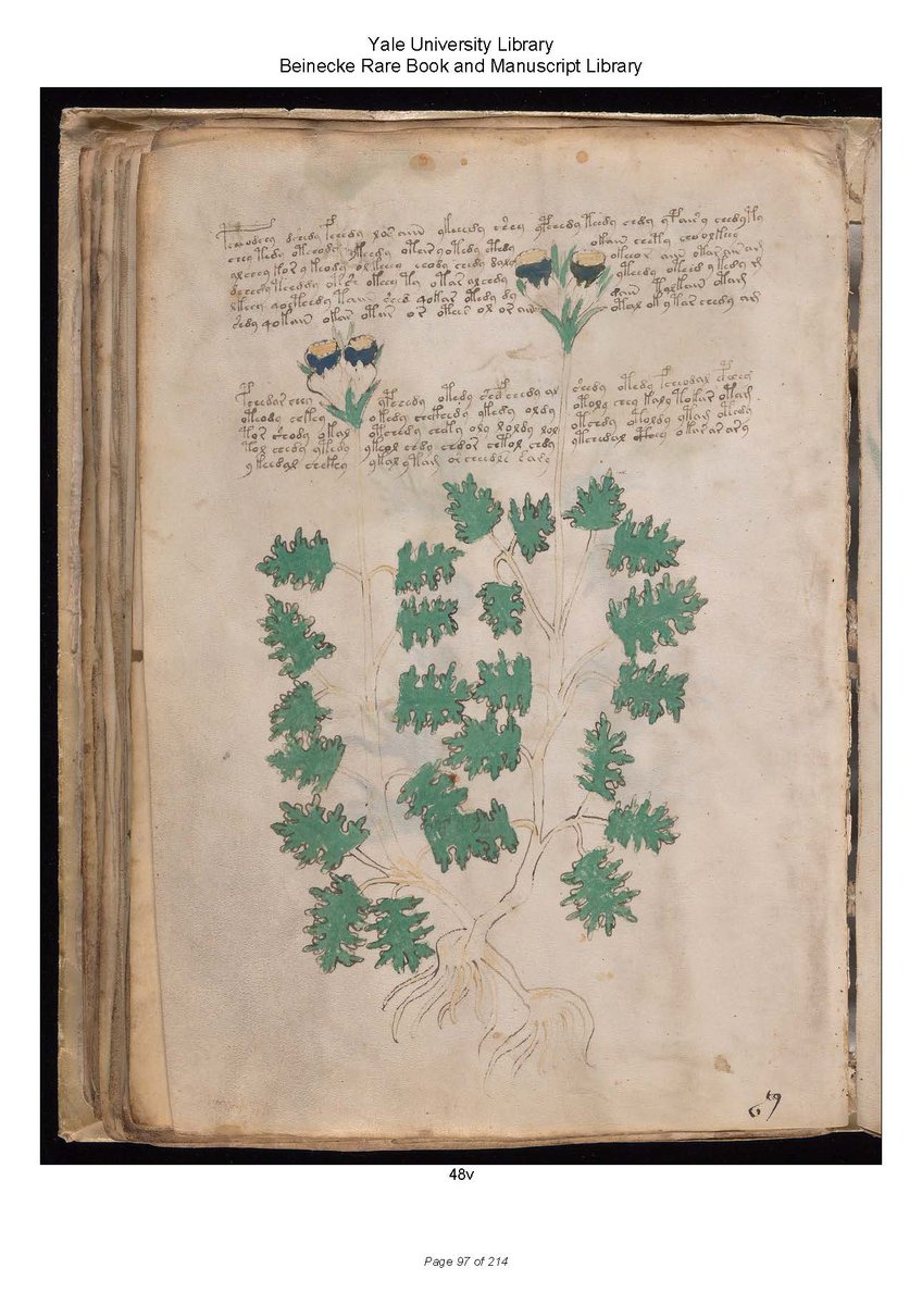 I don’t know if this is a serious question or not, but I’m going to give it a serious answer. Here’s a thread on “So, you think you’ve solved the  #Voynich Manuscript. What next?”  https://twitter.com/edearp7/status/1381021868828852227