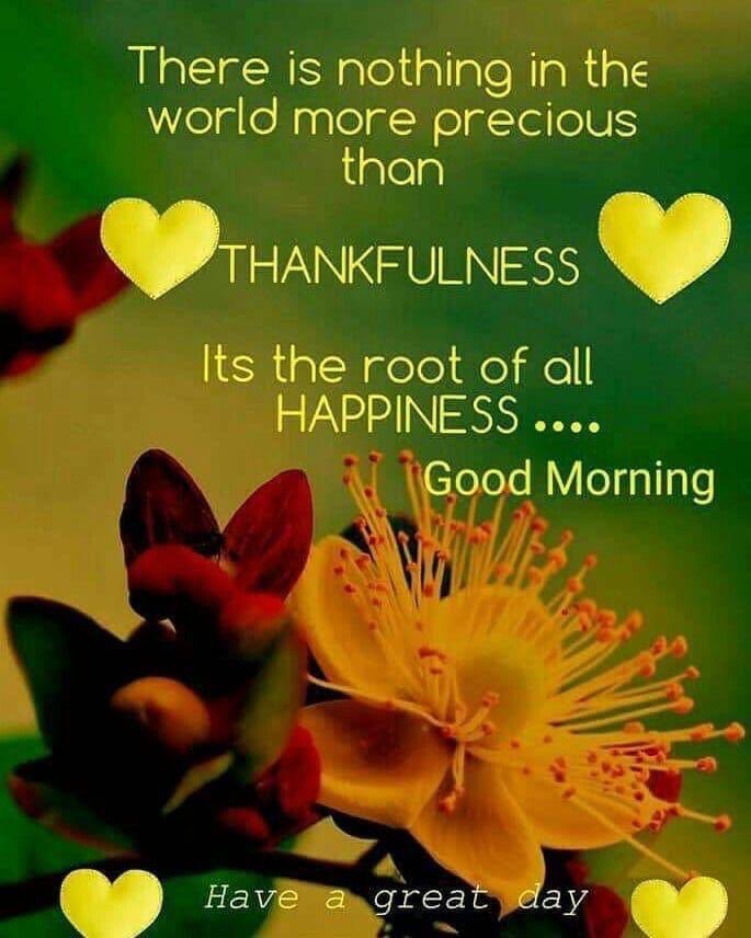 Dianne__LadyD's tweet photo. #morningmotivation
#PositiveVibesOnly
#lifelonglearning
#Mindfulness
#inspringquotes
#ThinkBIGSundayWithMarsha https://t.co/IV2tATckzo