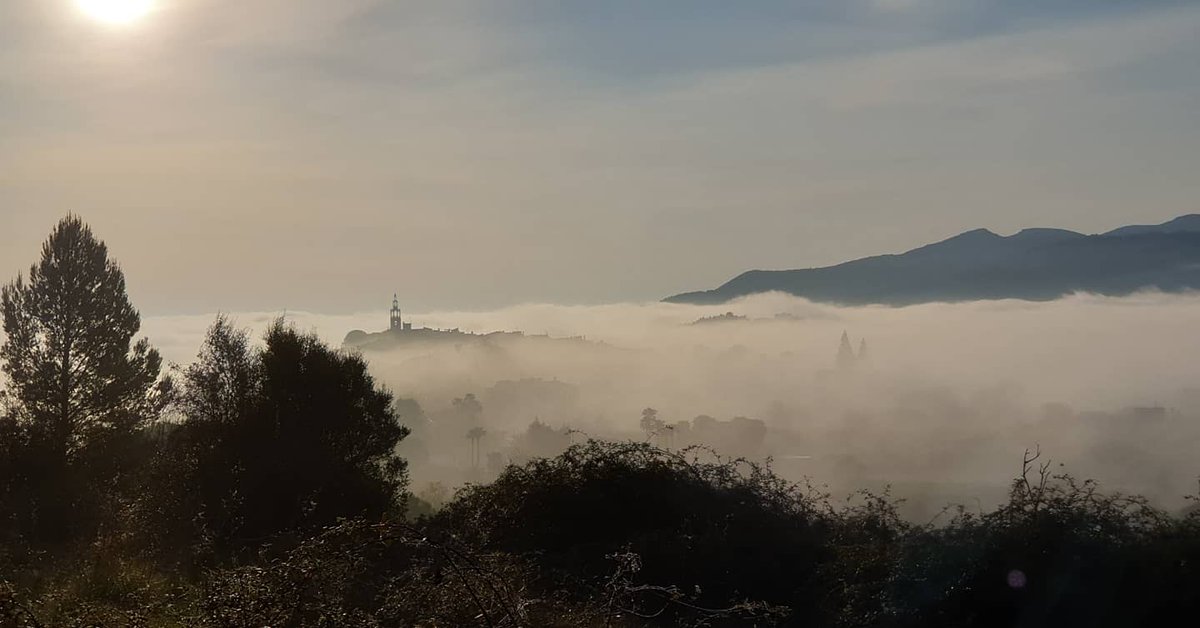 ChrisAlderton's tweet photo. A few early morning dog walking pictures near #Parcent in the #JalonValley.

#s9 #nofilter #mountainview #dogwalk #valley #Countryside https://t.co/8oiV4KwFxi