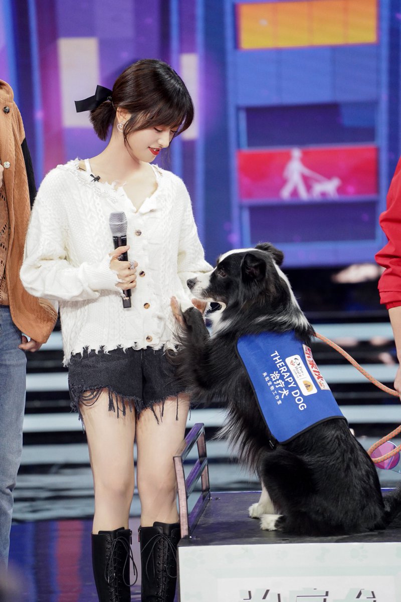 Tea_Teya_'s tweet photo. 月月's《Day Day Up》stills with 🦮‼️so adorbs‼️ 🥰✨

《#我亲爱的小洁癖》#UseForMyTalent
#ShenYue #沈月 https://t.co/CpZf7BLG4Q