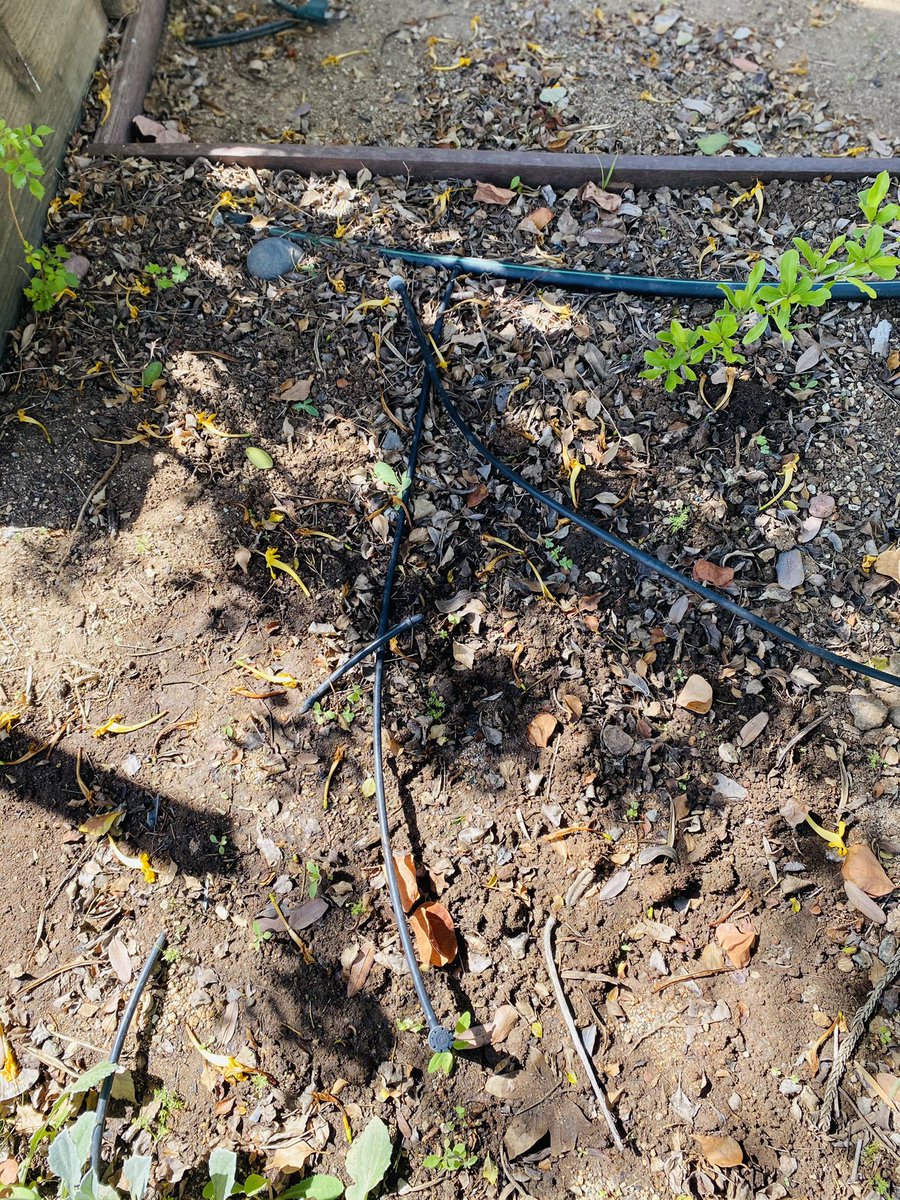 Mr_BMichael's tweet photo. .@BystrakChristy and I doing some research @wcgarden for our next @CV_HydroSt Innovation LIVE! event.
Grateful to have such a wonderful place like this in our region.
Stay tuned for the topic of this event, although some of these pictures may give you a hint...🤔 #HSLearns https://t.co/W9KVCmMMb7