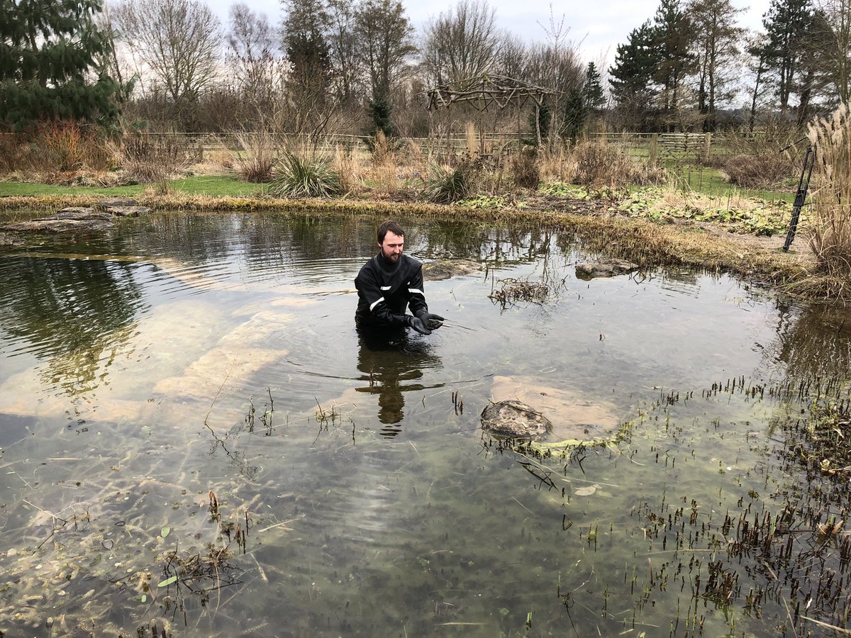 Ellicar Gardens (@ellicargardens) on Twitter photo Don’t miss tonight’s <a href="/BBCCountryfile/">BBC Countryfile</a> for a peak into the love life of #frogs and all things pondy in our very own #naturalpool here <a href="/ellicargardens/">Ellicar Gardens</a> filmed by #wildlife expert <a href="/JackPerksPhoto/">Jack Perks</a> Don’t miss tonight’s <a href="/BBCCountryfile/">BBC Countryfile</a> for a peak into the love life of #frogs and all things pondy in our very own #naturalpool here <a href="/ellicargardens/">Ellicar Gardens</a> filmed by #wildlife expert <a href="/JackPerksPhoto/">Jack Perks</a>